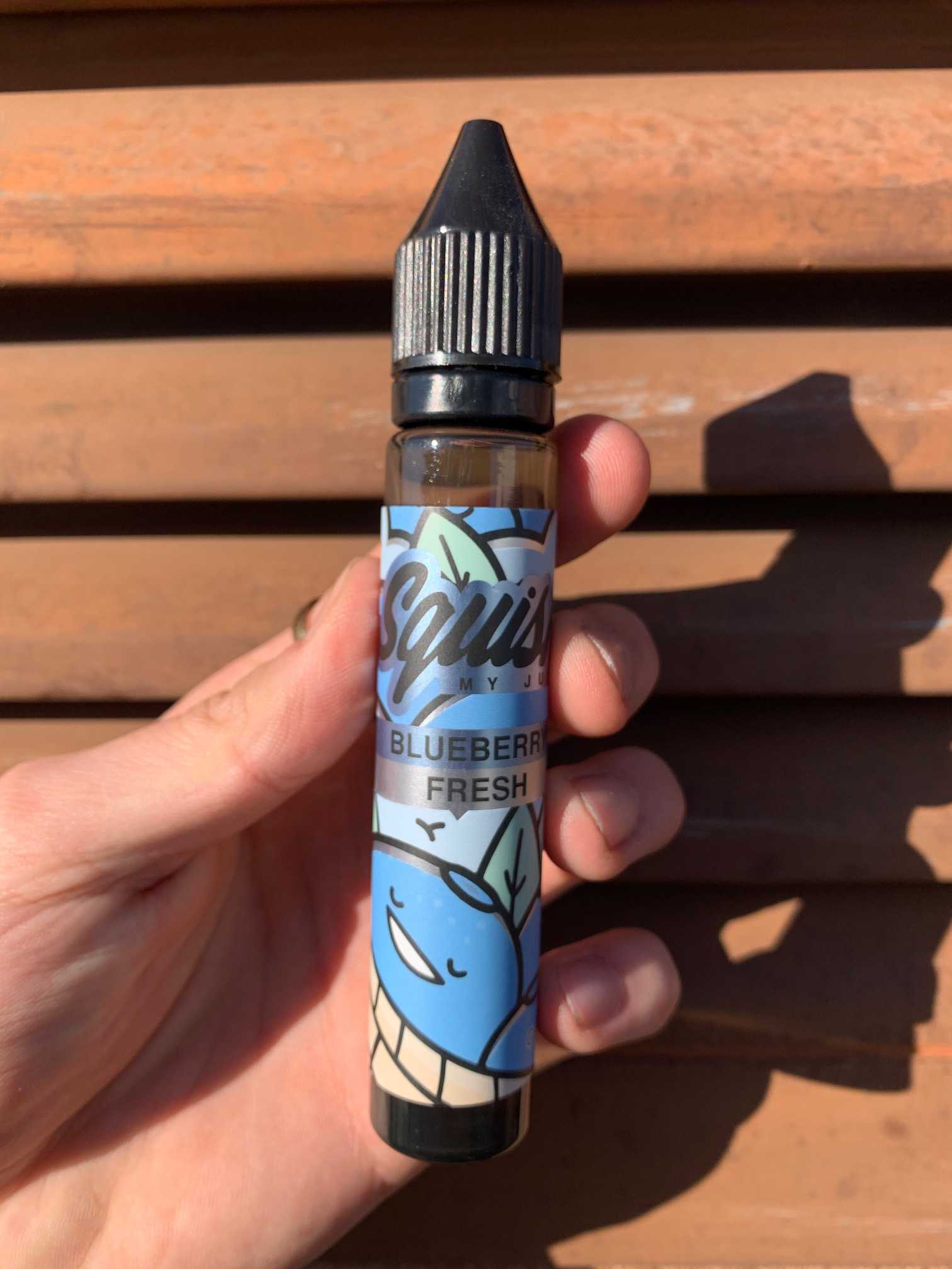 Blueberry Fresh 30ml | Base Libre |Squish my Juice