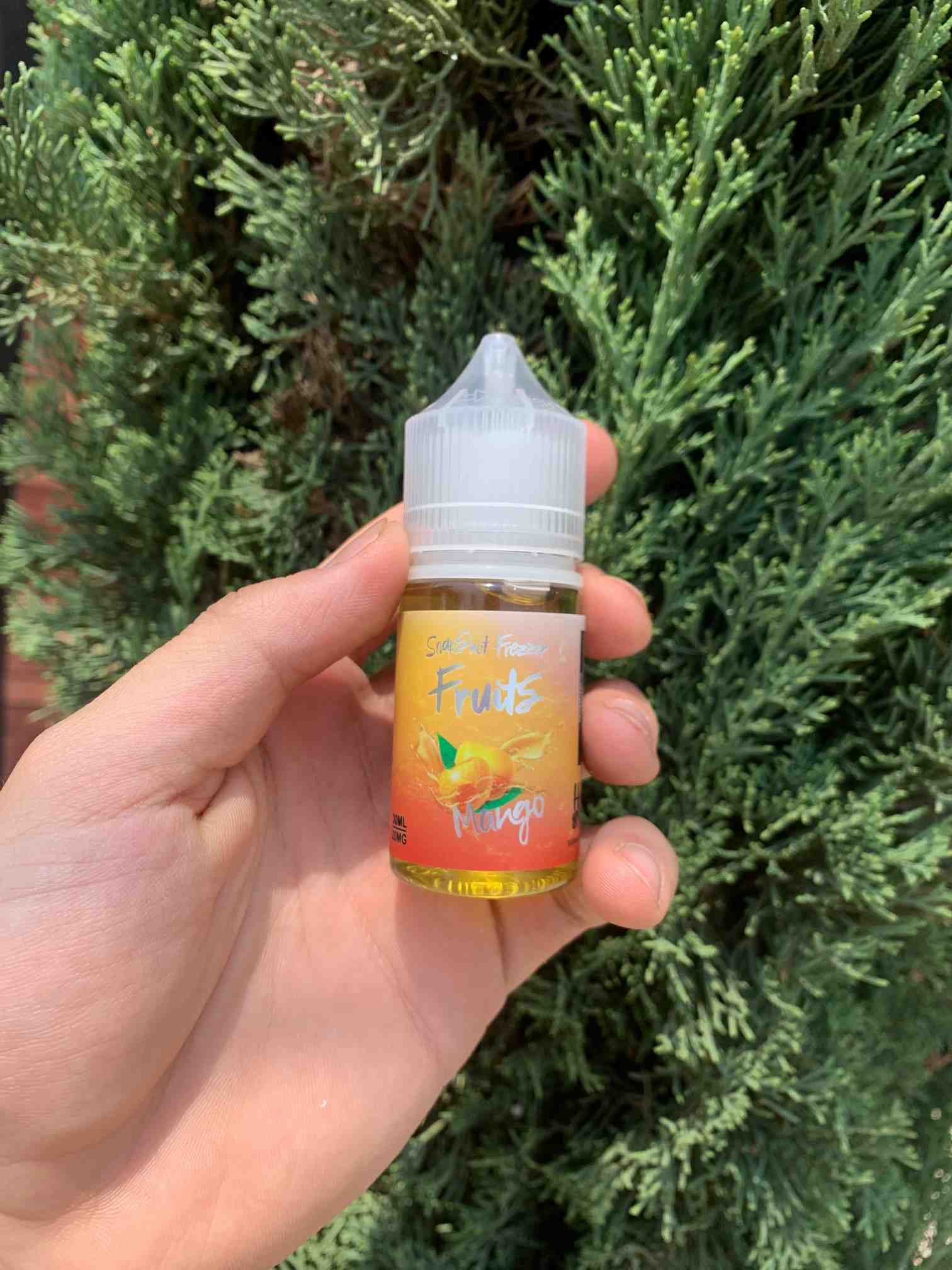 Snapshot Fruits Mango 30ml | Sales | Hale & Xale