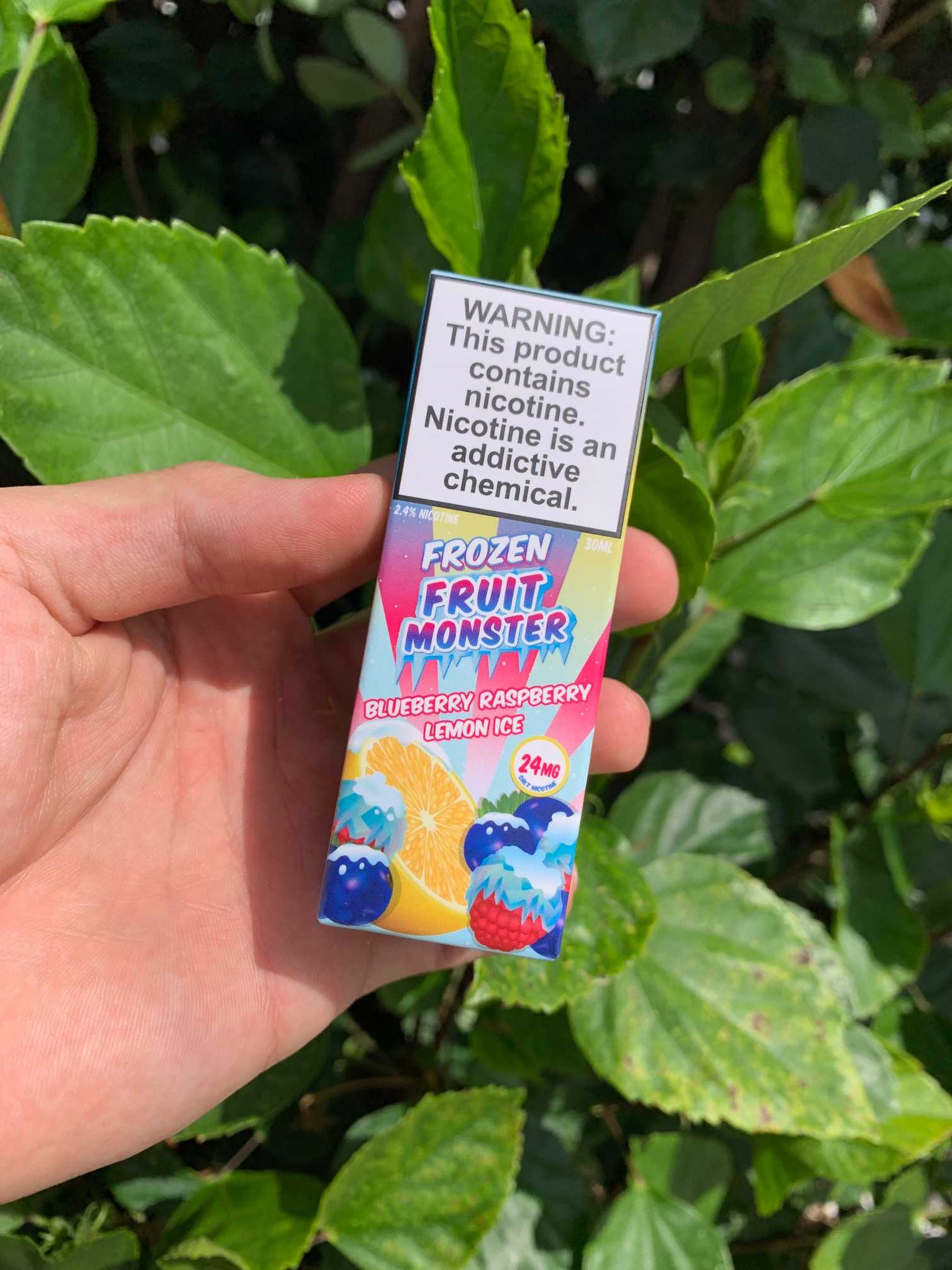 Blueberry Raspberry Lemon | Sales |Fruit Monster – Betasty