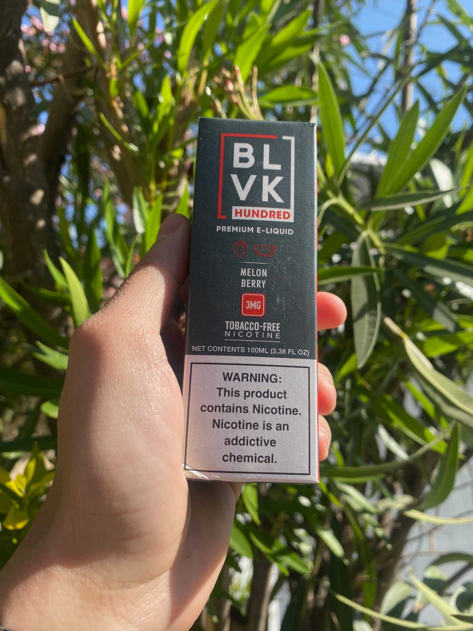 Melon Berry 100ml | BLVK