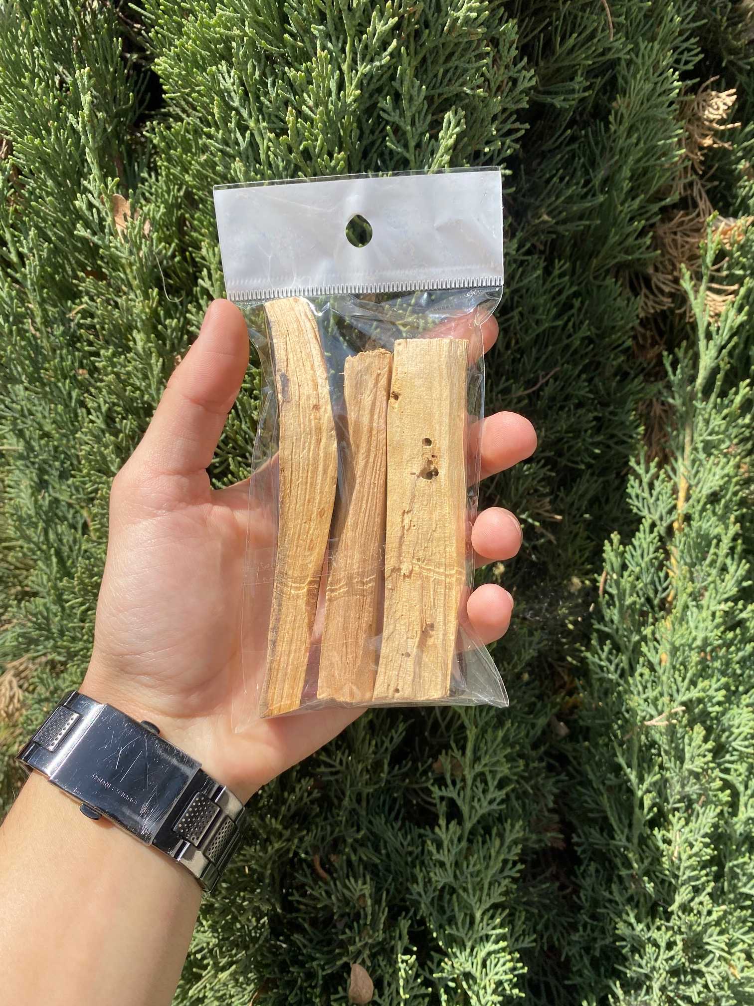 Palo Santo